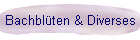 Bachblten & Diverses