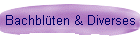 Bachblüten & Diverses